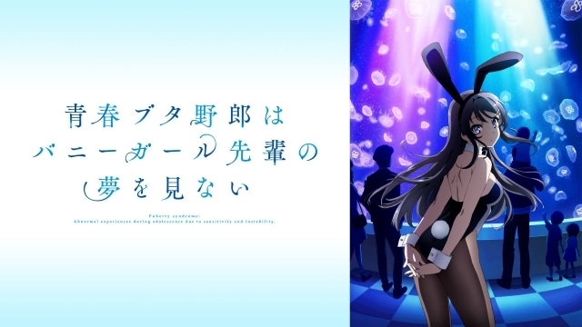 (C)2018 鴨志田 一／ＫＡＤＯＫＡＷＡ　アスキー・メディアワークス／青ブタ Project