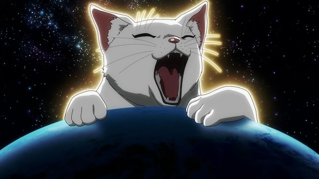 猫はもちろん可愛い。でもこの作品の魅力は猫だけではない! 『ニャイト・オブ・ザ・リビングキャット』クナギ役:水中雅章さん・アラタ役:川島零士さんが語る“猫好き”が織りなす真面目で独特な世界観【インタビュー】-9