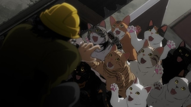 “うちの子を思い出す”、猫愛に満ちたこだわり。アニメを見たら猫好きがさらに増えるかも？『ニャイト・オブ・ザ・リビングキャット』カオル役・上田麗奈さん＆ツツミ役・芹澤 優さんインタビュー-8