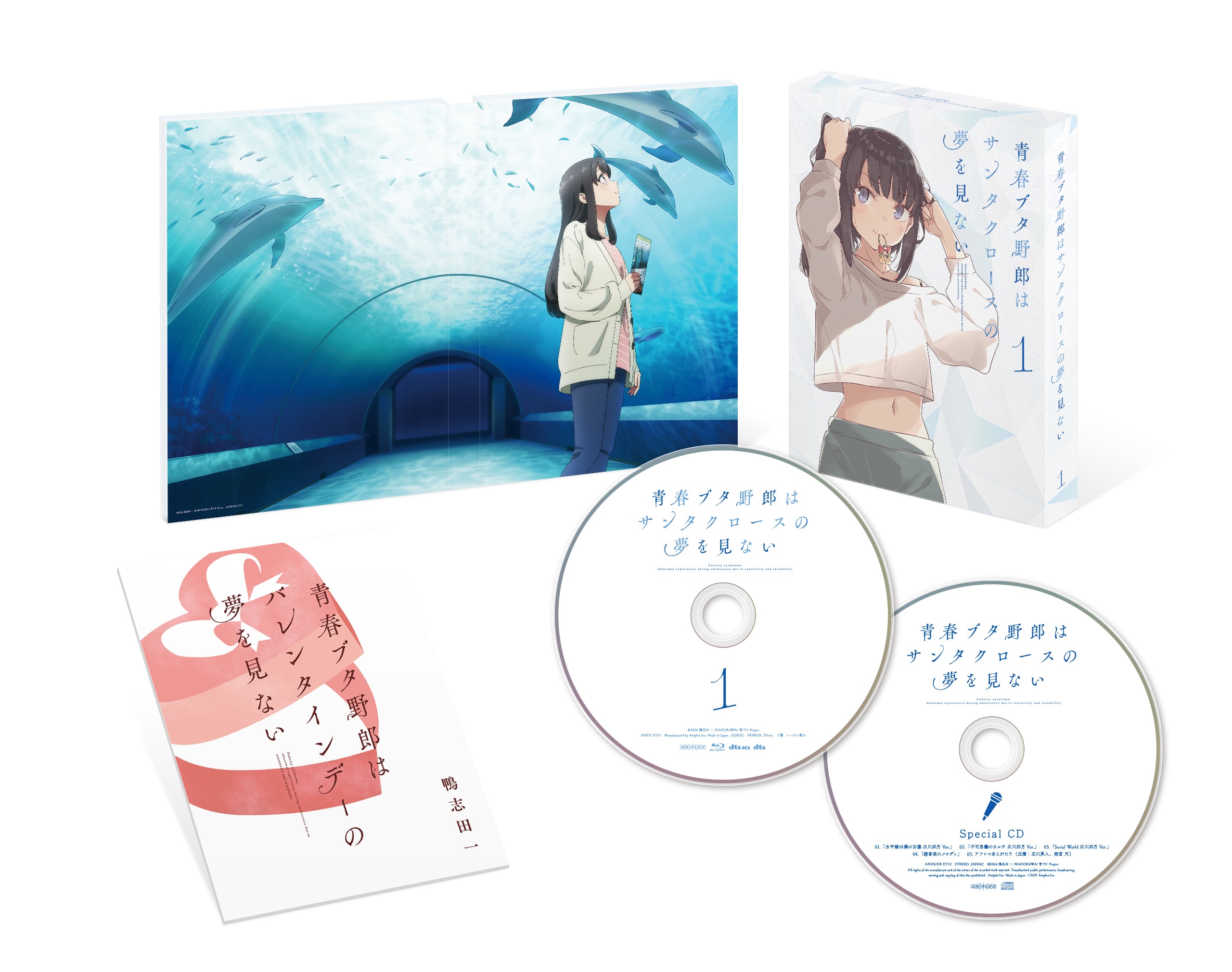 青春ブタ野郎はサンタクロースの夢を見ない』BD＆DVD発売決定