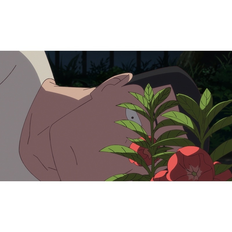 10月10日(金)公開のオリジナルアニメ映画『ホウセンカ』ムビチケがアニメイト新宿店・通販にて7月11日(金)より販売開始！-1