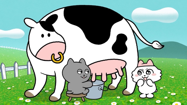 アニメ『ンめねこ』2クール目突入記念・プロデューサー座談会|セリフがない原作をアニメ化する上で意識したこととは? 1クール目のお気に入りエピソードも発表-8