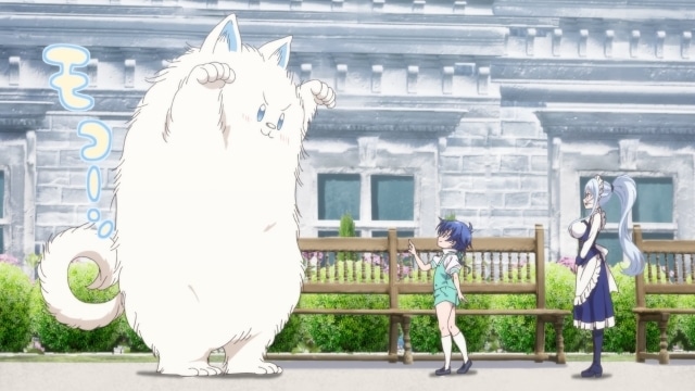 『転生したら第七王子だったので、 気ままに魔術を極めます』第2期放送直前特番の公式レポートが到着！　小市眞琴さん、ファイルーズあいさん、Lynnさん、石見舞菜香さんが出演-5