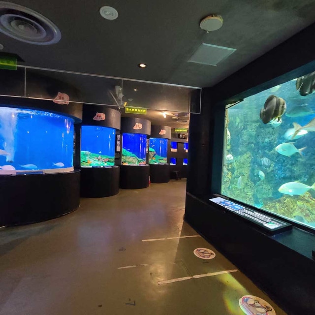 「アクアリウムは踊らない」×「長岡市寺泊水族博物館」スペシャルコラボ開催！　コラボ中の水族館を訪問するファンツアーも実施!!-3