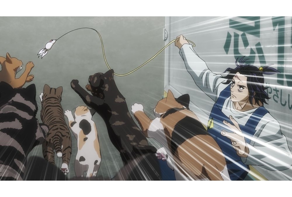 『ニャイリビ』第2話「今宵ねこら星を奪う」先行カット＆あらすじ到着！ノンクレED映像も公開