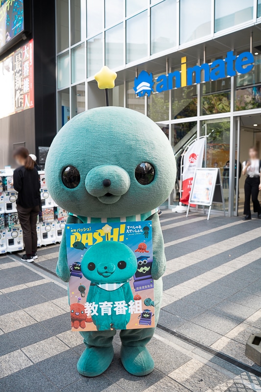 教育番組 タマ ぬいぐるみ 教育番組 タマ 特典付き 教育番組の