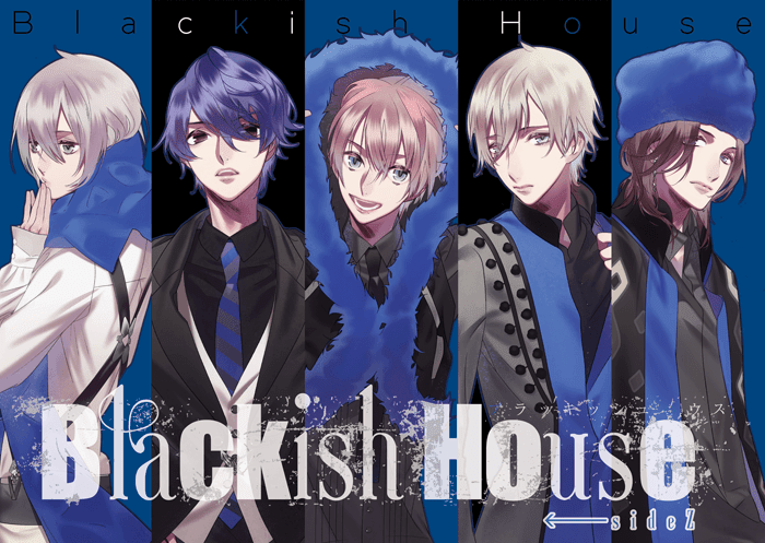 Blackish House ←sideZ