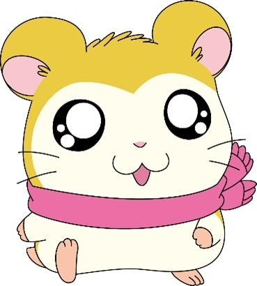 アニメ『とっとこハム太郎』Prime Videoにて追加話数が本日（9月16日）より配信開始！　1話から90話までが楽しめる-1