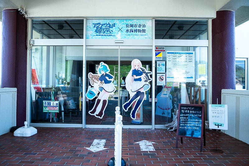 「私、『イタリアン』はホワイトソース過激派だから」──作品＆作者ゆかりの地を橙々さん御本人と行く！　「（新潟まで）来ちゃった///『アクアリウムは踊らない』水族館ファンツアー（またしても強制参加させられる原作者）」レポート-16