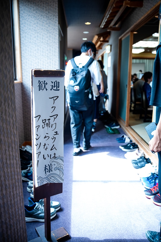 「私、『イタリアン』はホワイトソース過激派だから」──作品＆作者ゆかりの地を橙々さん御本人と行く！　「（新潟まで）来ちゃった///『アクアリウムは踊らない』水族館ファンツアー（またしても強制参加させられる原作者）」レポート-9