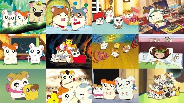 アニメ『とっとこハム太郎』Prime Videoにて追加話数が本日（9月16日）より配信開始！　1話から90話までが楽しめる-2