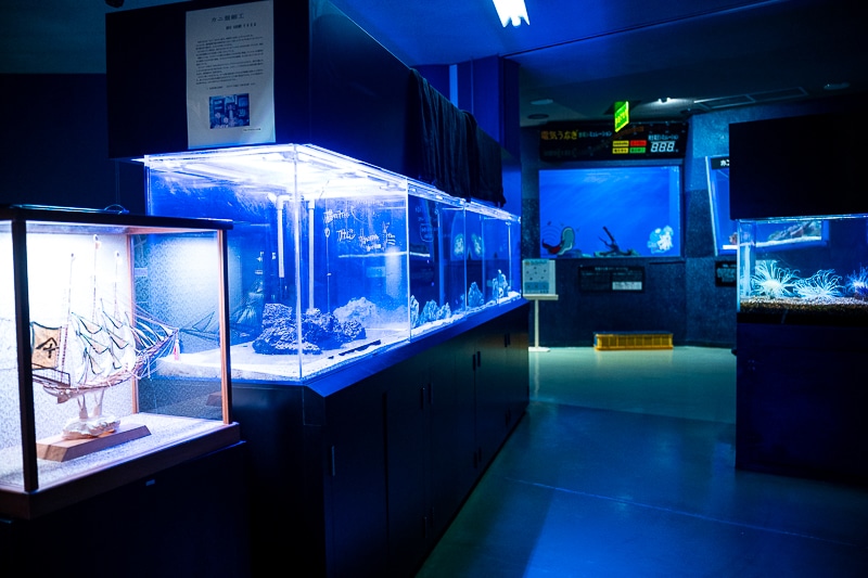 「私、『イタリアン』はホワイトソース過激派だから」──作品＆作者ゆかりの地を橙々さん御本人と行く！　「（新潟まで）来ちゃった///『アクアリウムは踊らない』水族館ファンツアー（またしても強制参加させられる原作者）」レポート-23