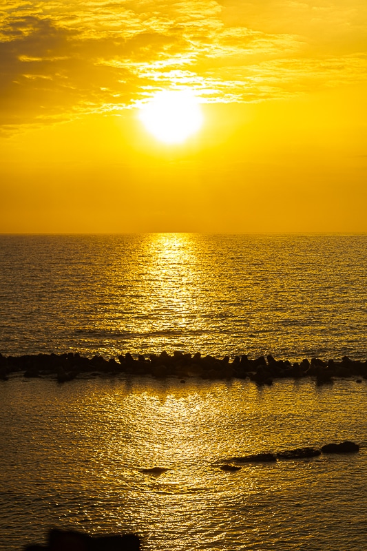 「私、『イタリアン』はホワイトソース過激派だから」──作品＆作者ゆかりの地を橙々さん御本人と行く！　「（新潟まで）来ちゃった///『アクアリウムは踊らない』水族館ファンツアー（またしても強制参加させられる原作者）」レポート-28