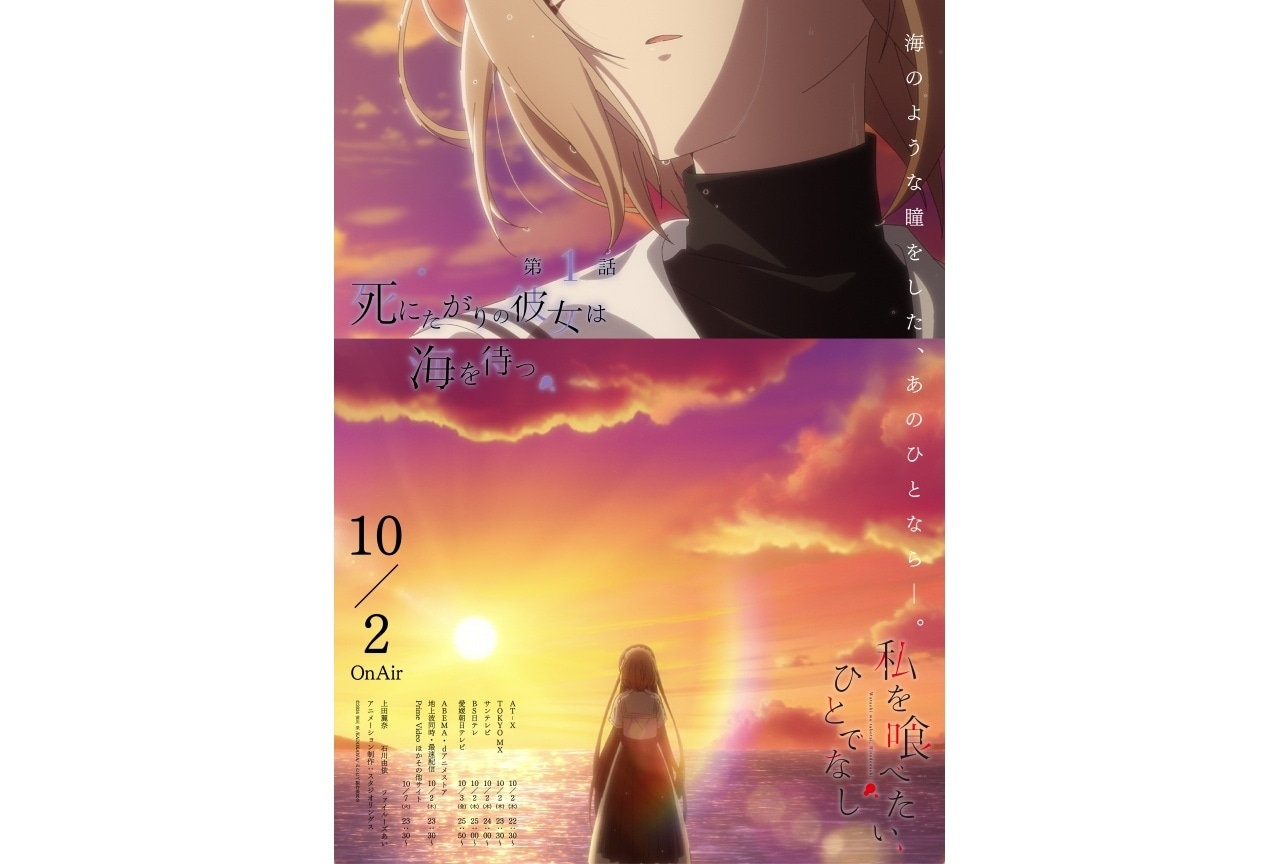 忍たま乱太郎』DVD第19シリーズ七の段ジャケットイラスト公開