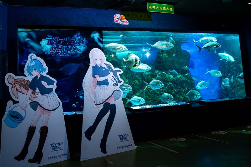 「私、『イタリアン』はホワイトソース過激派だから」──作品＆作者ゆかりの地を橙々さん御本人と行く！　「（新潟まで）来ちゃった///『アクアリウムは踊らない』水族館ファンツアー（またしても強制参加させられる原作者）」レポート-22