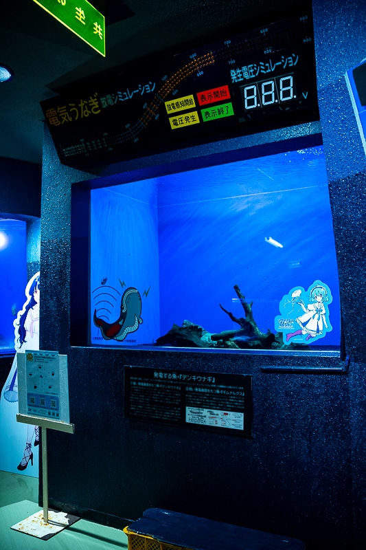 「私、『イタリアン』はホワイトソース過激派だから」──作品＆作者ゆかりの地を橙々さん御本人と行く！　「（新潟まで）来ちゃった///『アクアリウムは踊らない』水族館ファンツアー（またしても強制参加させられる原作者）」レポート-19