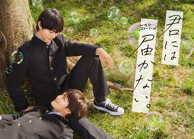 【2025年10月最新版】実写化BLドラマおすすめ一覧|M!LK・山中柔太朗さん、塩﨑太智さんら出演作もご紹介!-14