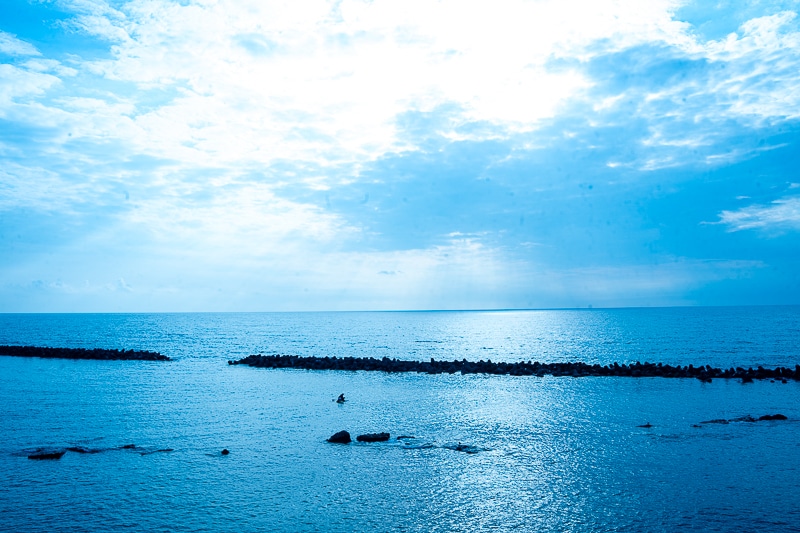 「私、『イタリアン』はホワイトソース過激派だから」──作品＆作者ゆかりの地を橙々さん御本人と行く！　「（新潟まで）来ちゃった///『アクアリウムは踊らない』水族館ファンツアー（またしても強制参加させられる原作者）」レポート-26