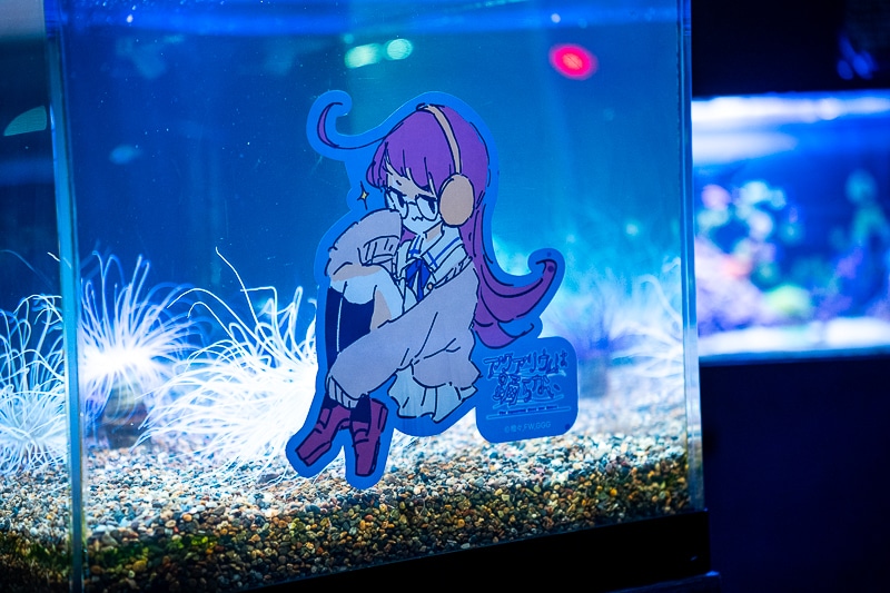 「私、『イタリアン』はホワイトソース過激派だから」──作品＆作者ゆかりの地を橙々さん御本人と行く！　「（新潟まで）来ちゃった///『アクアリウムは踊らない』水族館ファンツアー（またしても強制参加させられる原作者）」レポート-24