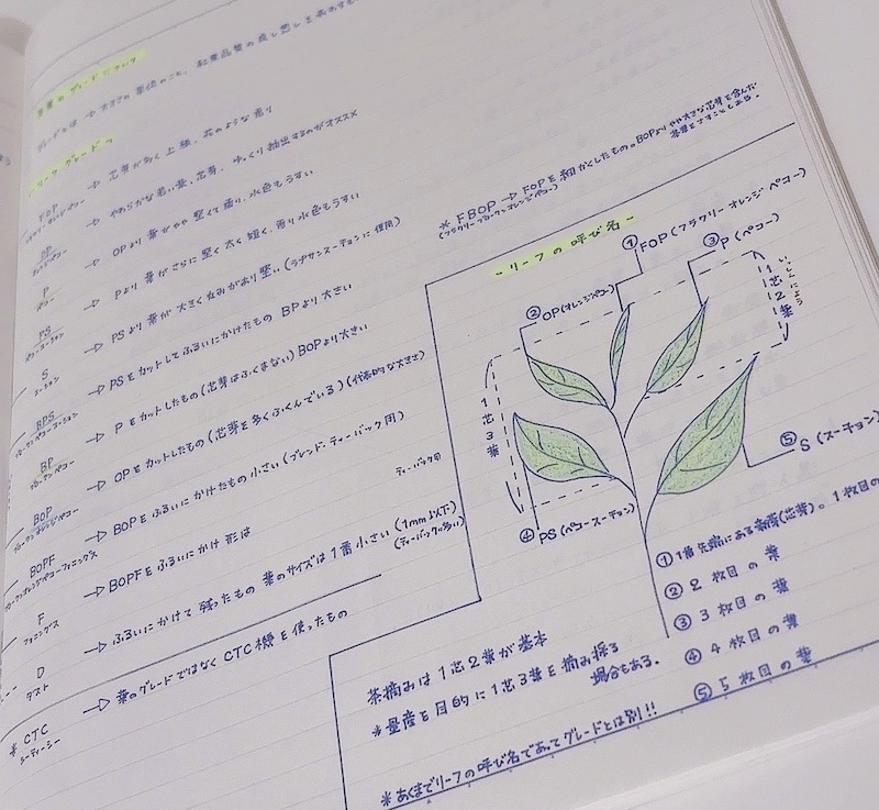 アーティスト・声優の山崎エリイさんが趣味の“紅茶”について綴るコラム連載「Erii Salon」【最終回：四季を共に巡る紅茶の魅力】-5