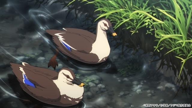 『クジマ歌えば家ほろろ』2026年4月放送決定、ティザービジュアル&PV解禁! 出演声優に神月柚莉愛さん・村瀬歩さん、コメント到着-5