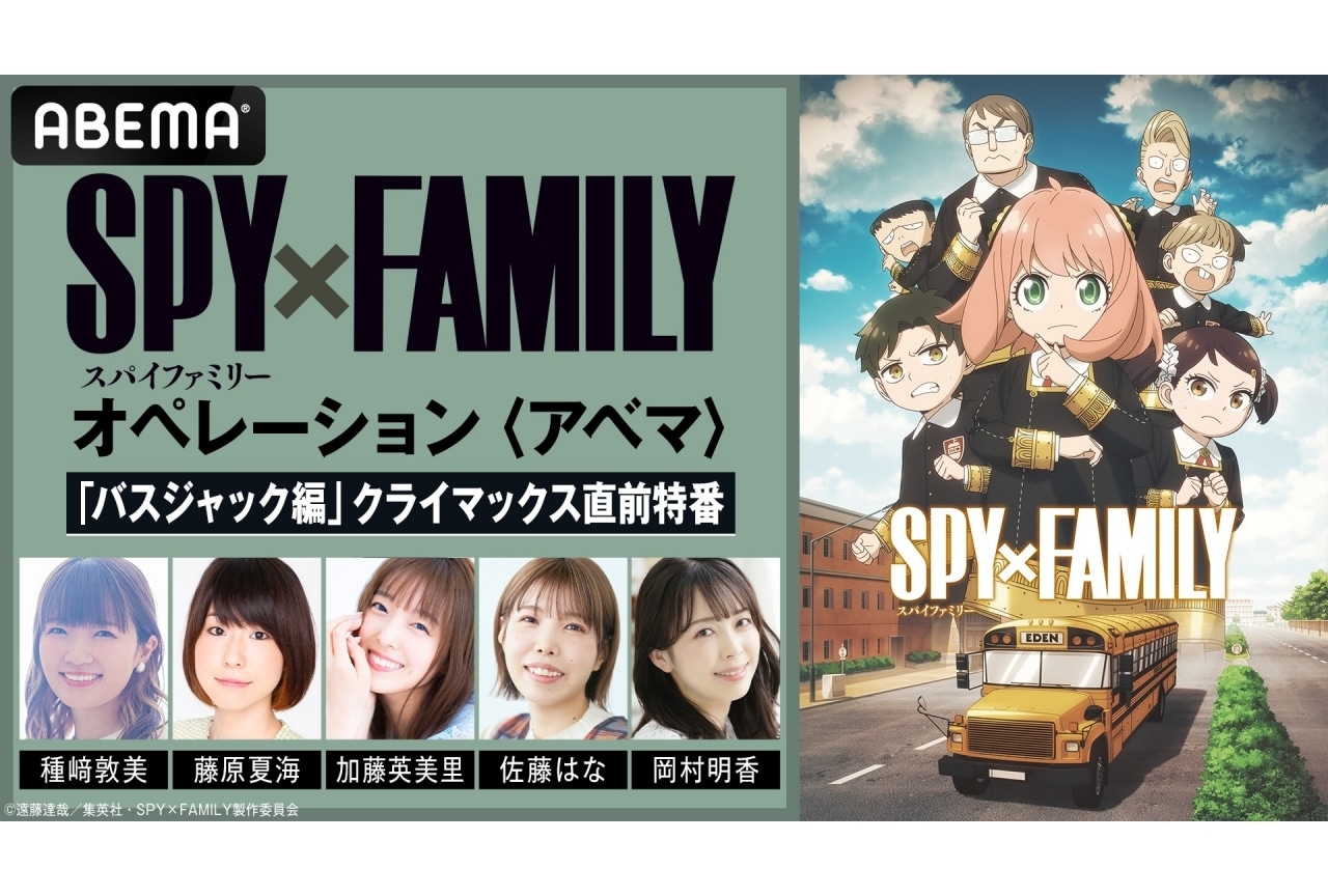 『SPY×FAMILY』Season 3の特番が配信決定｜種﨑敦美、藤原夏海ら出演