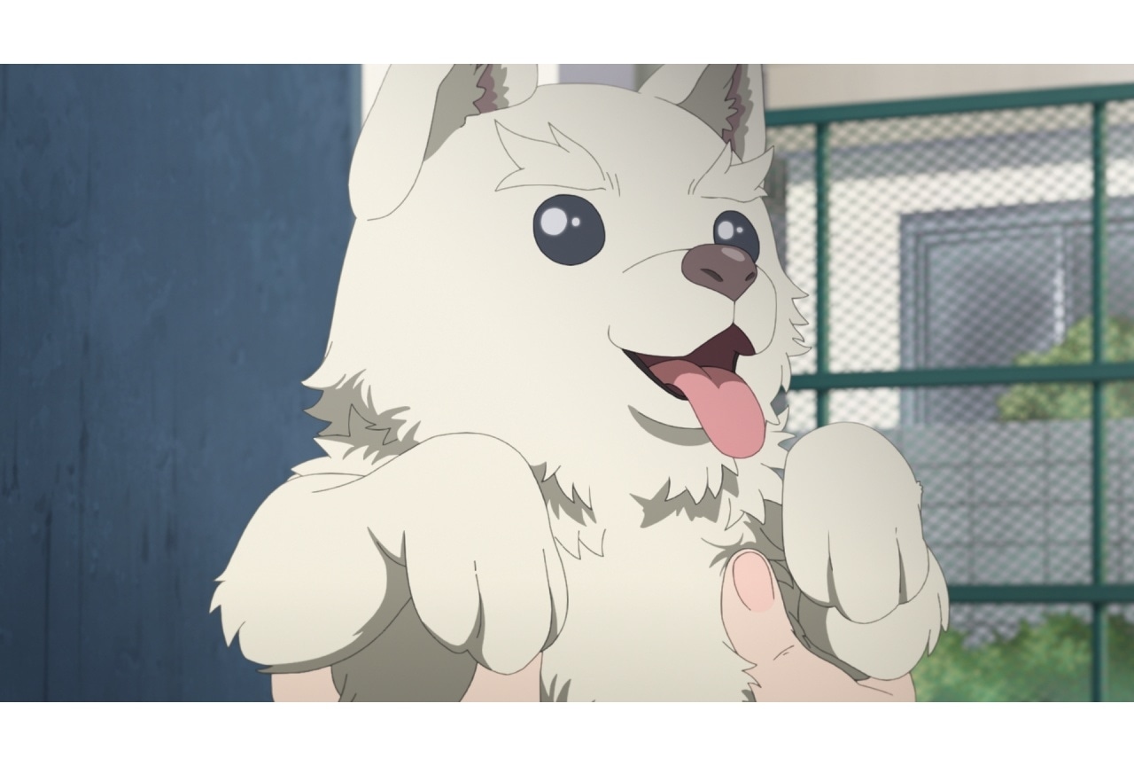 『えがたえ』第9話あらすじ＆先行カット