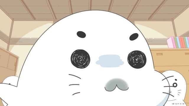 『小３アシベ QQゴマちゃん』2026年春TVアニメ化決定！　ティザービジュアル＆PV公開｜原作・森下裕美先生らよりコメント到着-4