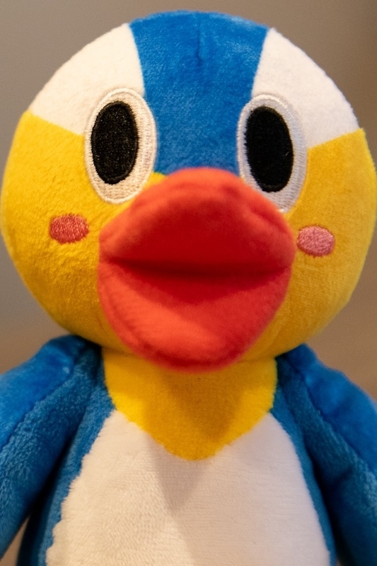 モザイクを取り払い、生まれたままの姿のBlu-ray特典は「めちゃめちゃエッチでファンサービス全開」!?　『ぬきたし THE ANIMATION』橘 淳之介役・柳 晃平さん×片桐奈々瀬役・石上静香さん Blu-ray発売記念アニメ振り返りインタビュー-15