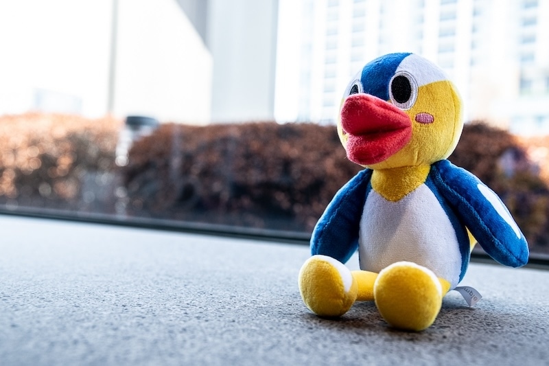 モザイクを取り払い、生まれたままの姿のBlu-ray特典は「めちゃめちゃエッチでファンサービス全開」!?　『ぬきたし THE ANIMATION』橘 淳之介役・柳 晃平さん×片桐奈々瀬役・石上静香さん Blu-ray発売記念アニメ振り返りインタビュー-1