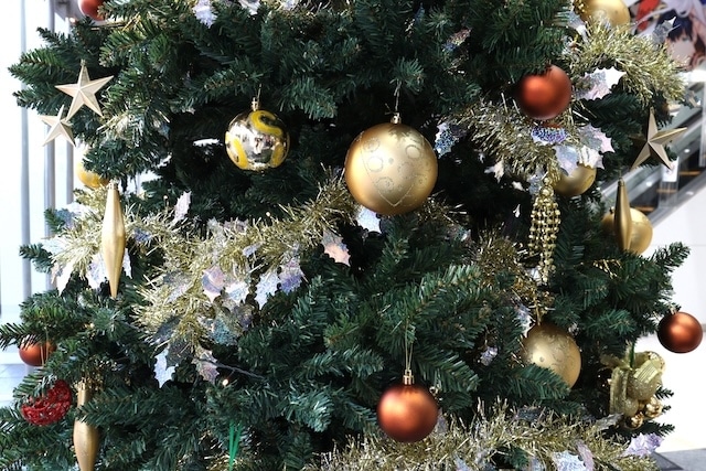 12月のアニメイト池袋本店では「ぬい活・推し活特設スペース」や巨大クリスマスツリーが展開中！［今日のアニメイト池袋本店］-17