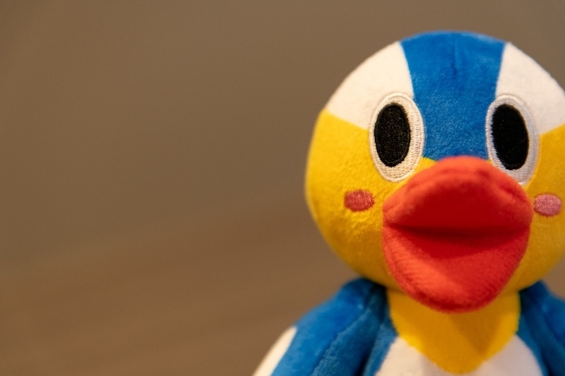 モザイクを取り払い、生まれたままの姿のBlu-ray特典は「めちゃめちゃエッチでファンサービス全開」!?　『ぬきたし THE ANIMATION』橘 淳之介役・柳 晃平さん×片桐奈々瀬役・石上静香さん Blu-ray発売記念アニメ振り返りインタビュー-12