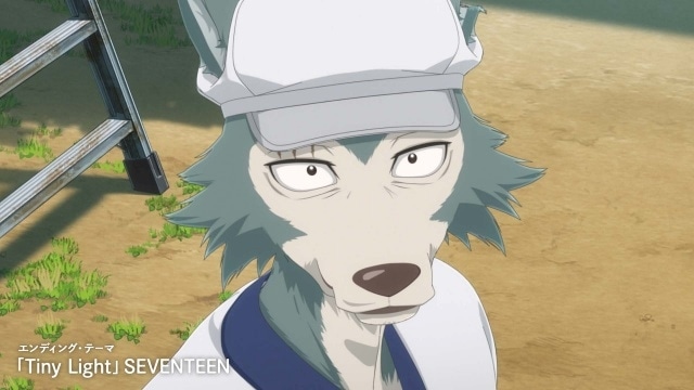 『BEASTARS FINAL SEASON』Part2が2026年3月より配信開始！　メインPV公開｜ED主題歌はSEVENTEEN「Tiny Light」に決定-3