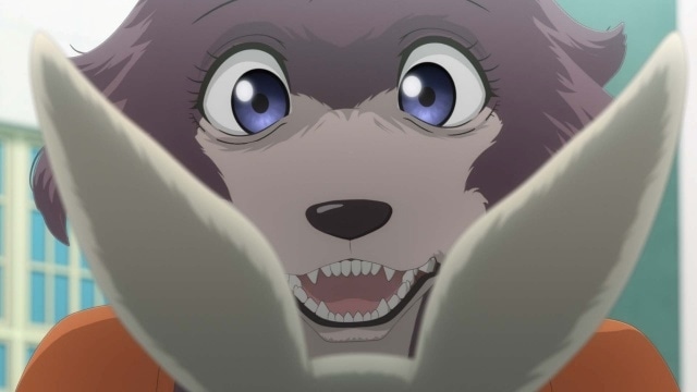 『BEASTARS FINAL SEASON』Part2が2026年3月より配信開始！　メインPV公開｜ED主題歌はSEVENTEEN「Tiny Light」に決定-5