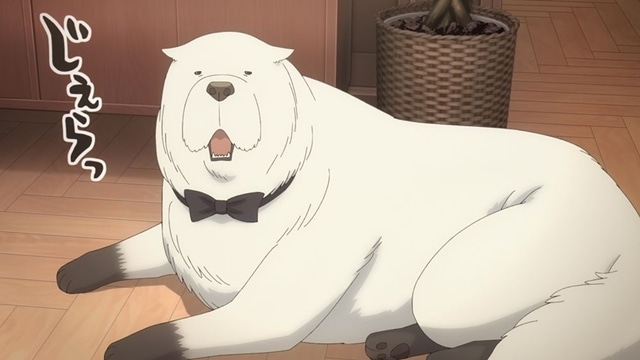 『SPY×FAMILY』Season 3より、MISSION:50（最終話）「生き残れない世界」先行場面カット公開！-6