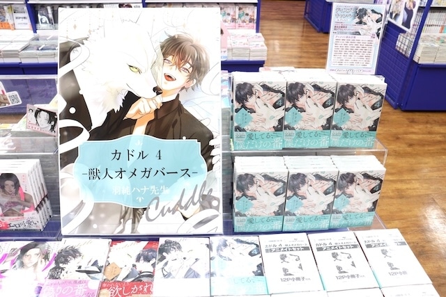 CD「水樹奈々/THE MUSEUM　IV」やコミックス『カドル(4) -獣人オメガバース- 』が発売！　ほか［今日のアニメイト池袋本店］-9