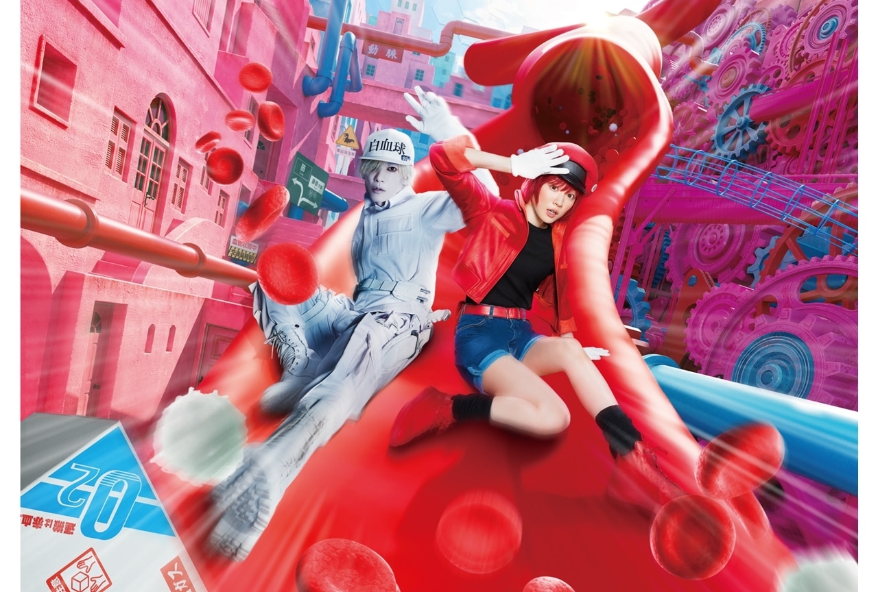 実写映画『はたらく細胞』金曜ロードショーで1月30日放送決定！