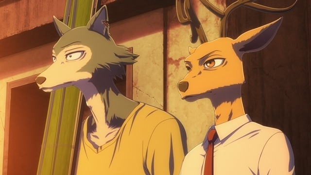 『BEASTARS FINAL SEASON』Part2より、OPテーマを使用したファイナルPV解禁！　追加声優に遠藤綾さん・高木渉さん・勝杏里さん、コメント公開-9