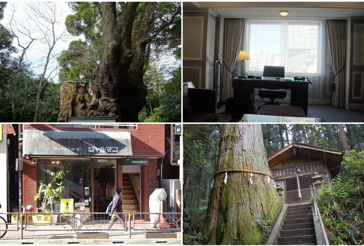 映画『クスノキの番人』ロケハン写真と共に圧倒的映像美の舞台裏を公開！