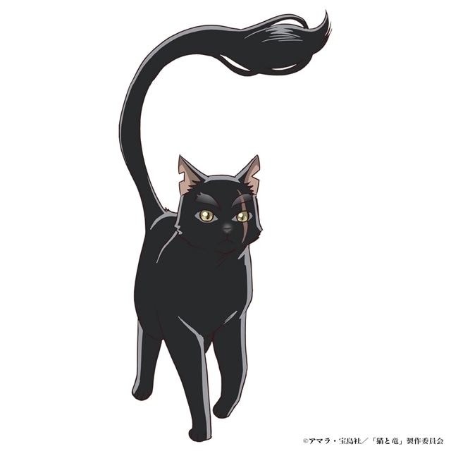『猫と竜』2026年7月よりTOKYO MX・BS日テレ・読売テレビにて放送スタート、ピックアップキービジュアル＆PV解禁！　追加声優に井上喜久子さん・和泉風花さんら6名発表-12