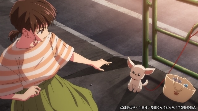 『多聞くん今どっち！？』第6話「多聞くん今どっち！？」のあらすじ＆先行カットが公開！-2