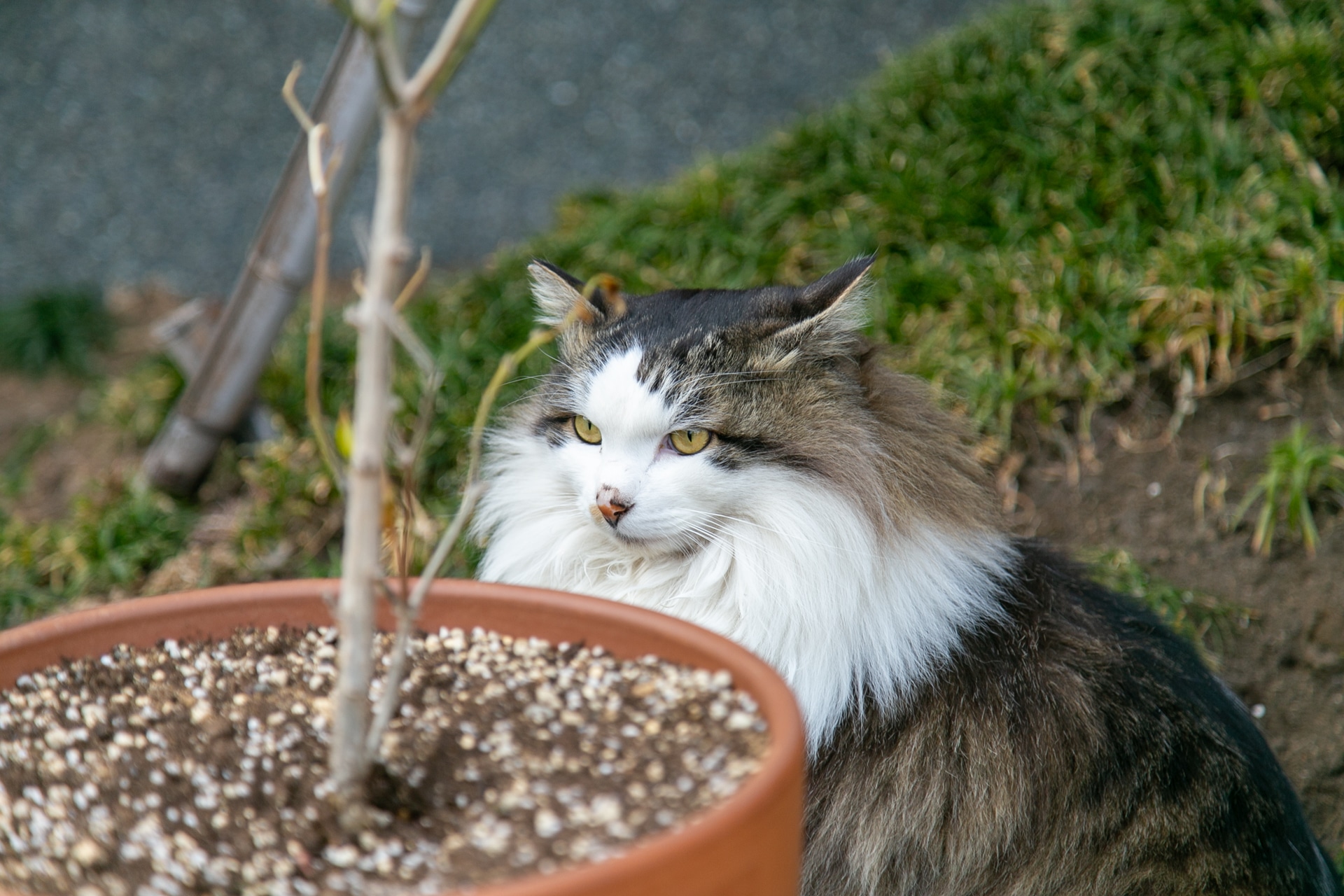 小田原の名所を巡りながら、作品の聖地巡礼も！　「MFゴースト 3rd Season×ODAWARA」キャンペーン実体験レポート-42