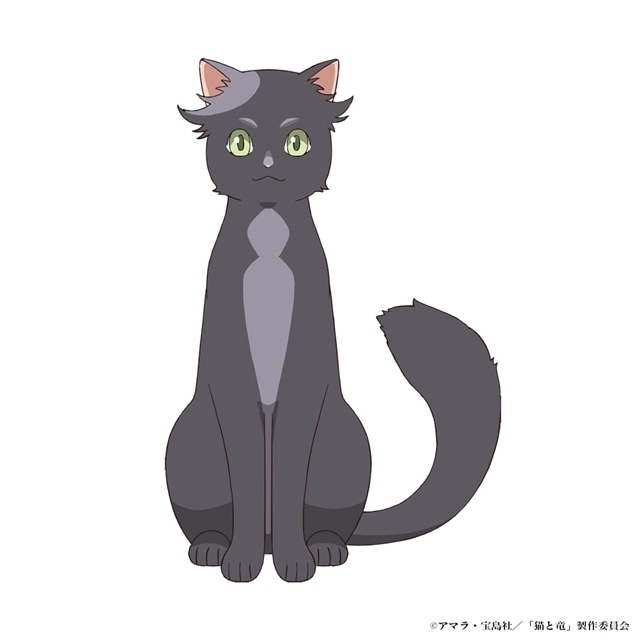 『猫と竜』2026年7月よりTOKYO MX・BS日テレ・読売テレビにて放送スタート、ピックアップキービジュアル＆PV解禁！　追加声優に井上喜久子さん・和泉風花さんら6名発表-16