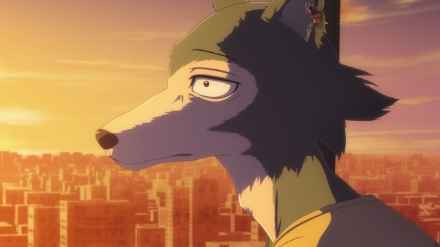 『BEASTARS FINAL SEASON』Part2より、レゴシ役 小林親弘さん×メロン役 沖野晃司さんの公式インタビューが到着！-5