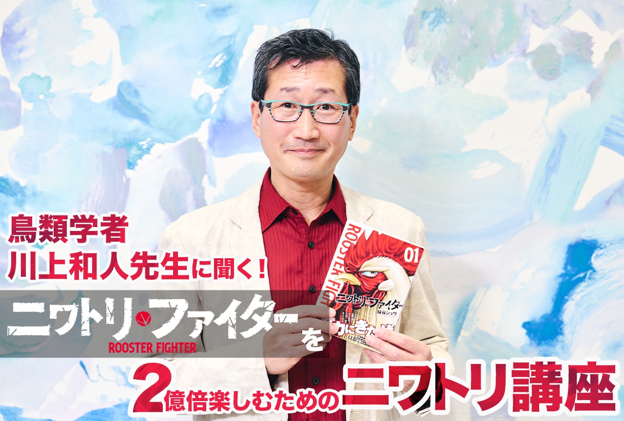 アニメ『ニワトリ・ファイター』鳥類学者・川上和人先生によるニワトリ講座