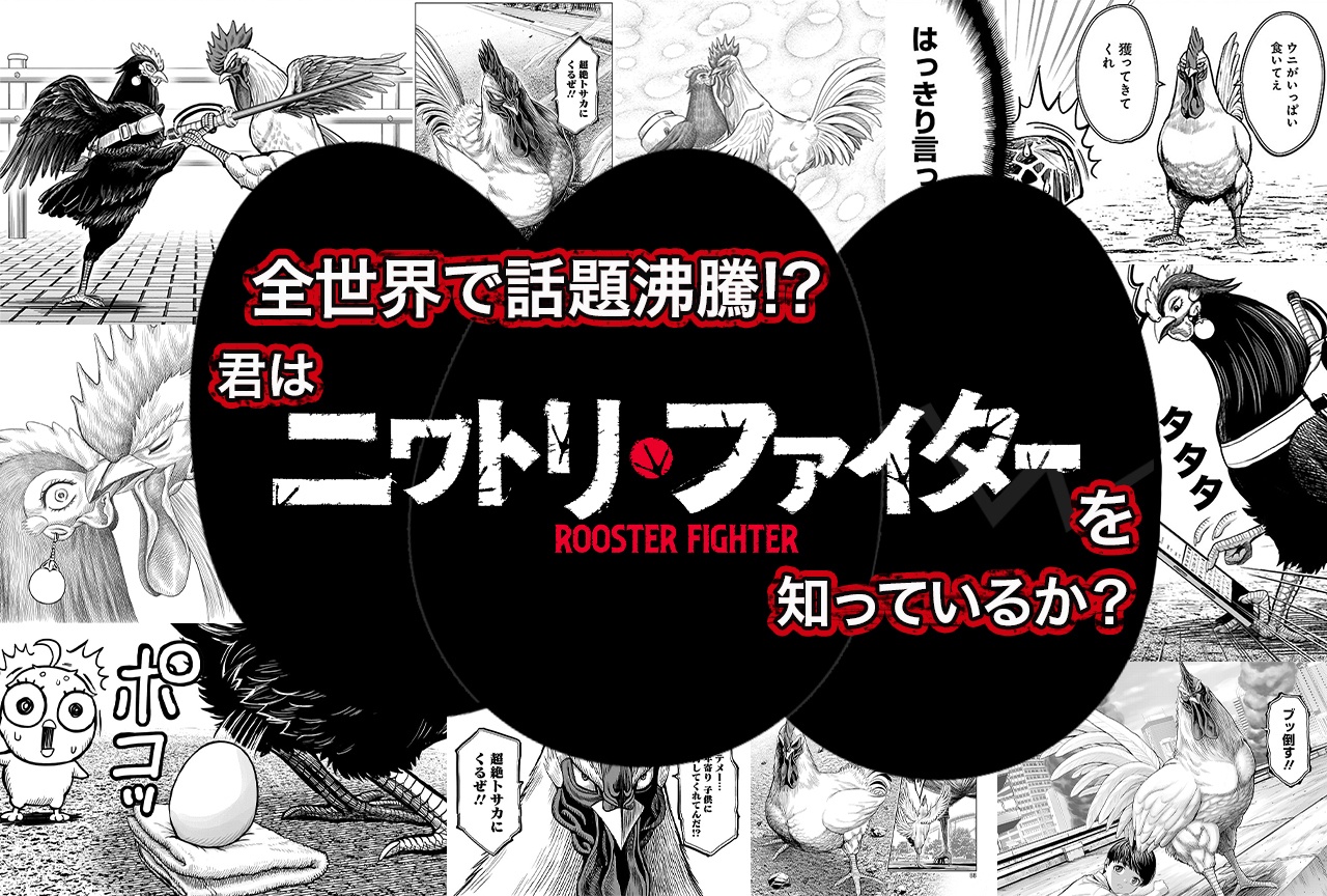 全世界で話題沸騰!?　君は『ニワトリ・ファイター』を知っているか？