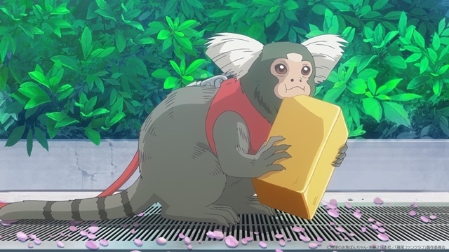 春アニメ『霧尾ファンクラブ』第1話「拝啓、霧尾くん」より、先行場面カット＆あらすじ公開！-4