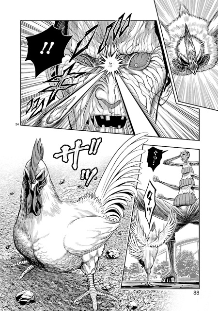 【ニワカ知識はトサカにくるぜ！】鳥類学者・川上和人先生に聞く！ アニメ『ニワトリ・ファイター』を２億倍楽しむためのニワトリ講座-6