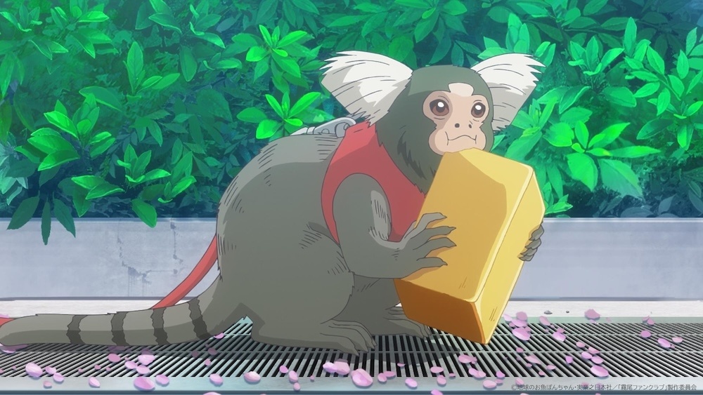 「最初は笑って見ていたものも、だんだん涙へと変わっていく」「胸がいっぱいになる作品です」──アニメ「霧尾ファンクラブ」染谷 波役・若山詩音さん【連載インタビュー第3回】-6