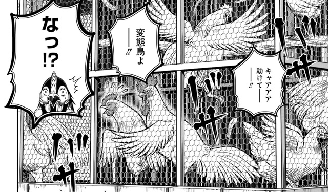 【ニワカ知識はトサカにくるぜ！】鳥類学者・川上和人先生に聞く！ アニメ『ニワトリ・ファイター』を２億倍楽しむためのニワトリ講座-12